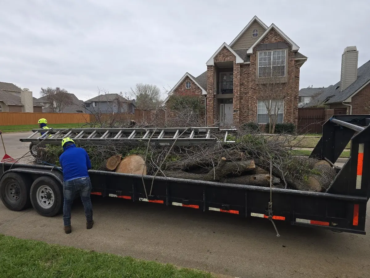 Expert Tree Fertilization with proper safety equipment in Boncarbo